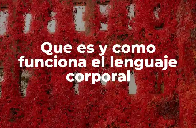 La importancia del lenguaje corporal en la interacción humana