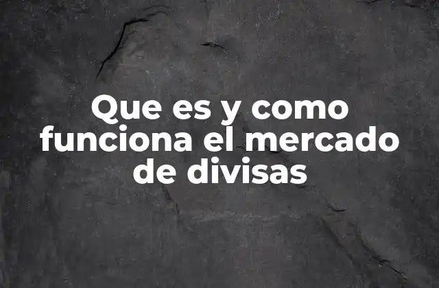 Que es y como Funciona el Mercado de Divisas