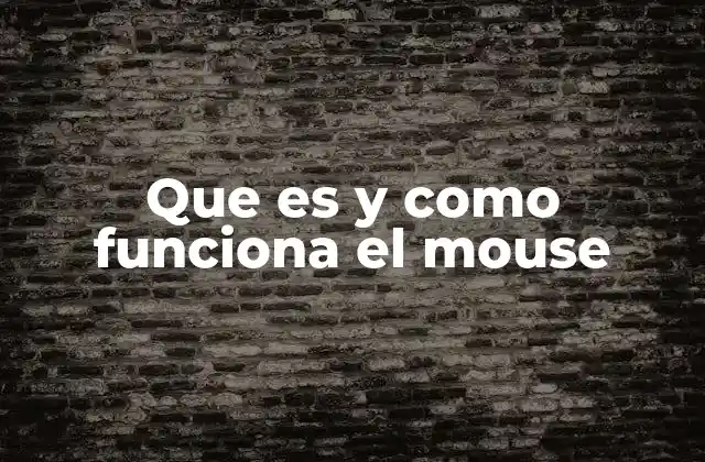 Que es y como Funciona el Mouse
