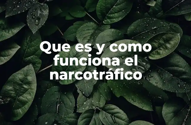 Que es y como Funciona el Narcotráfico