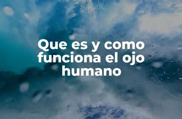 Que es y como Funciona el Ojo Humano