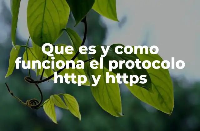 Que es y como Funciona el Protocolo Http y Https