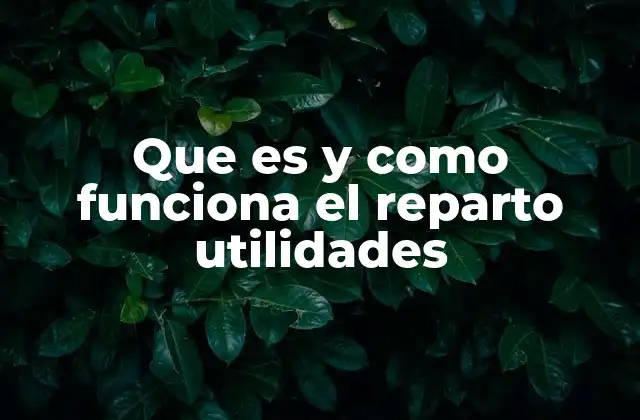 Que es y como Funciona el Reparto Utilidades 2 El proceso detrás del reparto de beneficios