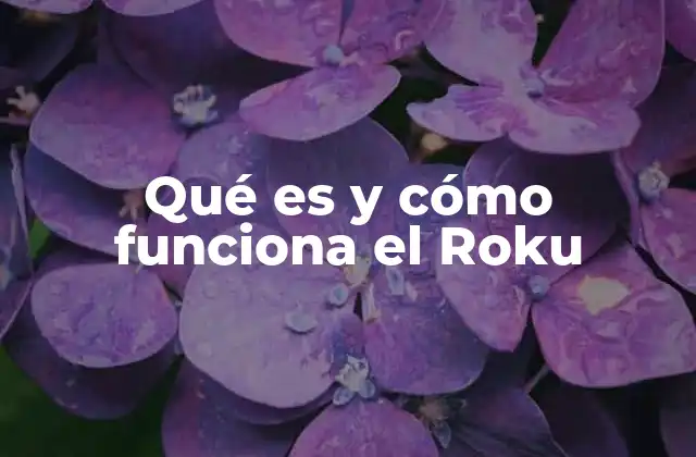 Cómo Roku transforma la experiencia de ver televisión