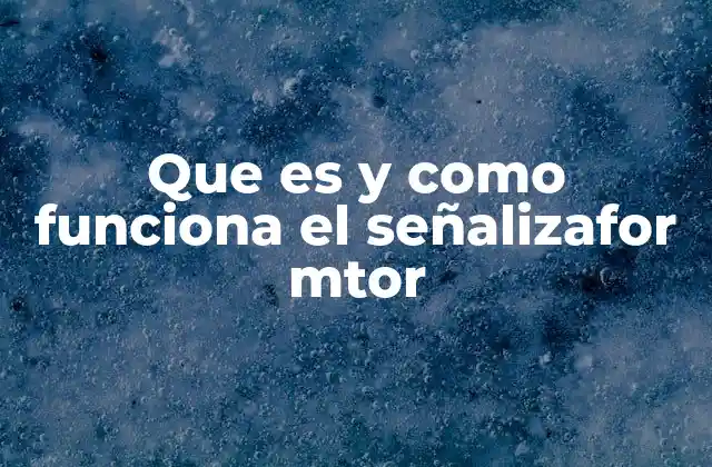 La evolución de la señalización vial inteligente