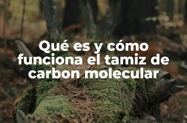Qué es y Cómo Funciona el Tamiz de Carbon Molecular