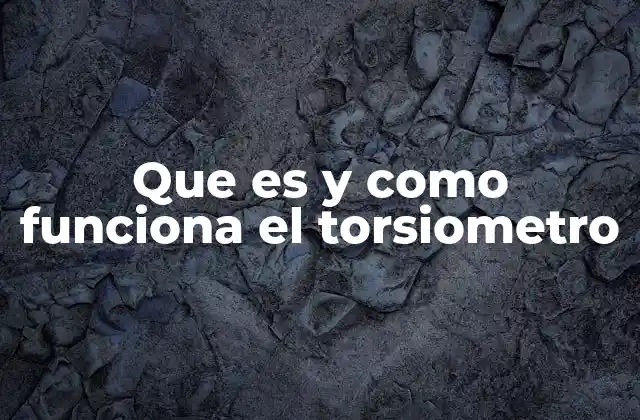 Que es y como Funciona el Torsiometro