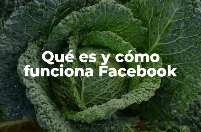 Qué es y Cómo Funciona Facebook