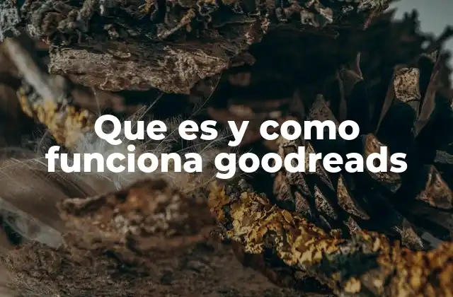 La evolución del hábito lector en la era digital