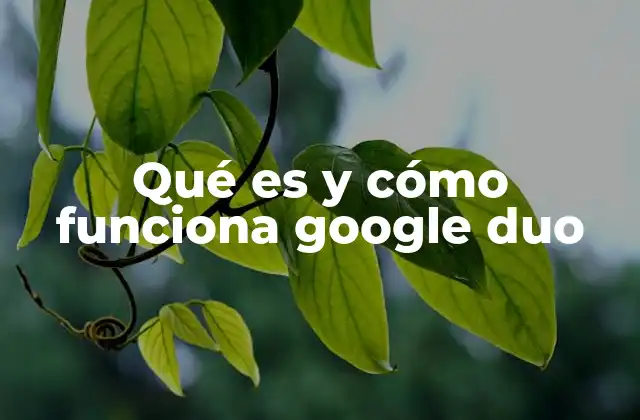 Qué es y Cómo Funciona Google Duo
