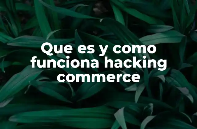 Que es y como Funciona Hacking Commerce