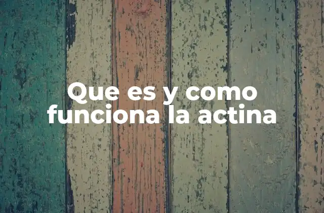 Que es y como Funciona la Actina