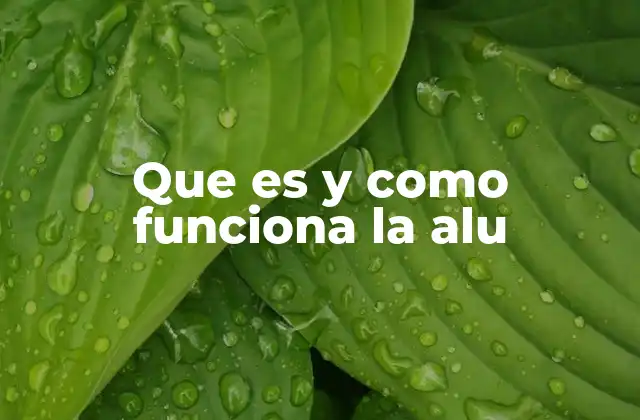 Que es y como Funciona la Alu