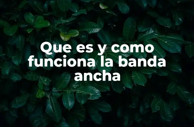 Que es y como Funciona la Banda Ancha