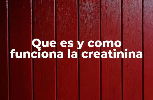 Que es y como Funciona la Creatinina