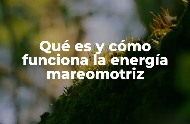 Qué es y Cómo Funciona la Energía Mareomotriz