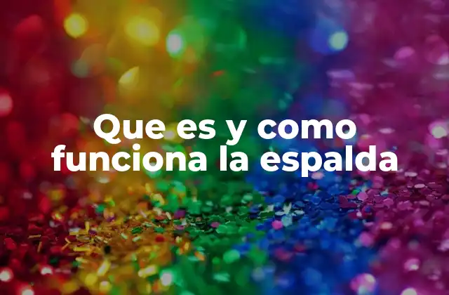 Que es y como Funciona la Espalda