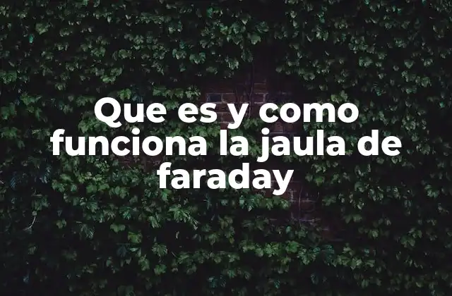 Que es y como Funciona la Jaula de Faraday