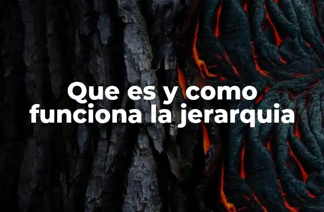 Que es y como Funciona la Jerarquia