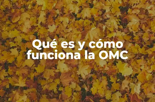 Qué es y Cómo Funciona la Omc