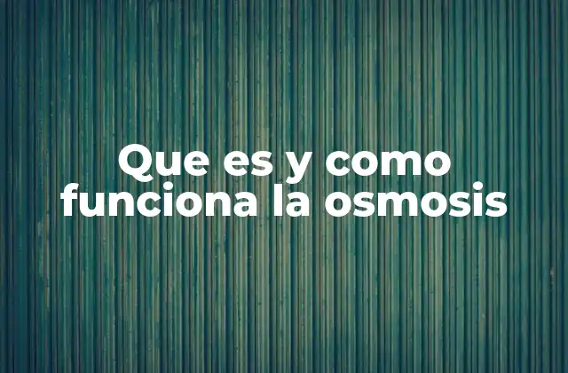 Que es y como Funciona la Osmosis