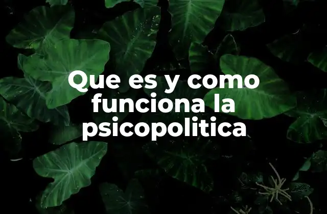 Que es y como Funciona la Psicopolitica