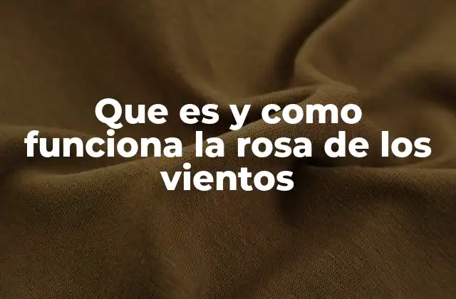 Que es y como Funciona la Rosa de los Vientos