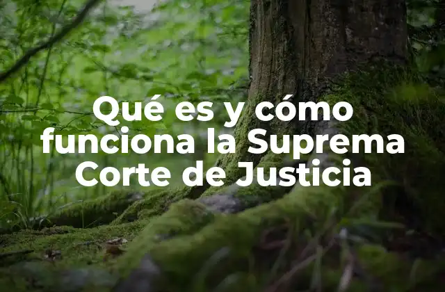 Qué es y Cómo Funciona la Suprema Corte de Justicia
