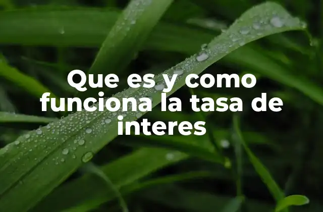 Que es y como Funciona la Tasa de Interes