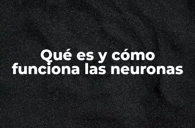 La estructura de la neurona y su papel en la comunicación nerviosa