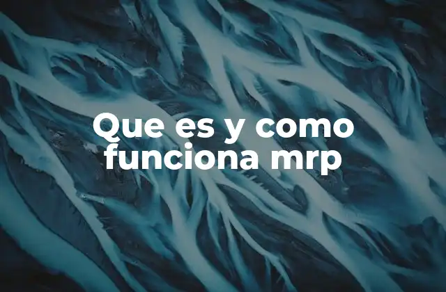 Que es y como Funciona Mrp