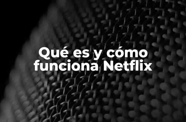 Qué es y Cómo Funciona Netflix