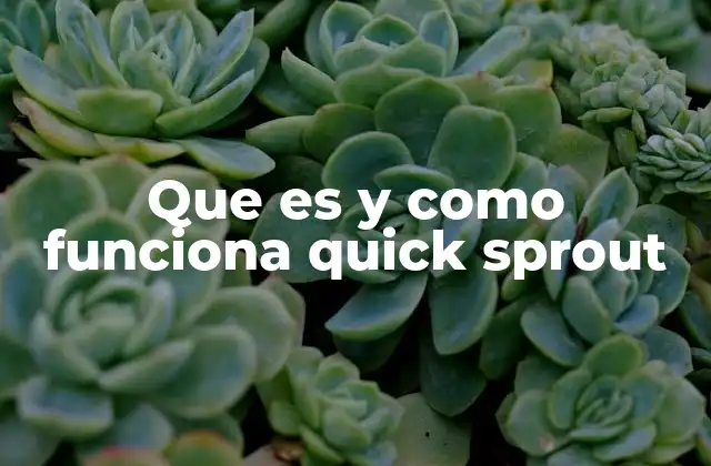 Que es y como Funciona Quick Sprout