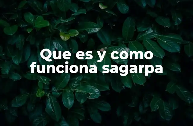 Que es y como Funciona Sagarpa 2 La importancia de la SAGARPA en la economía nacional