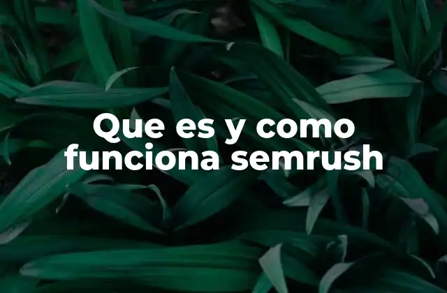 Que es y como Funciona Semrush 2 Cómo SEMrush puede transformar tu estrategia de marketing digital