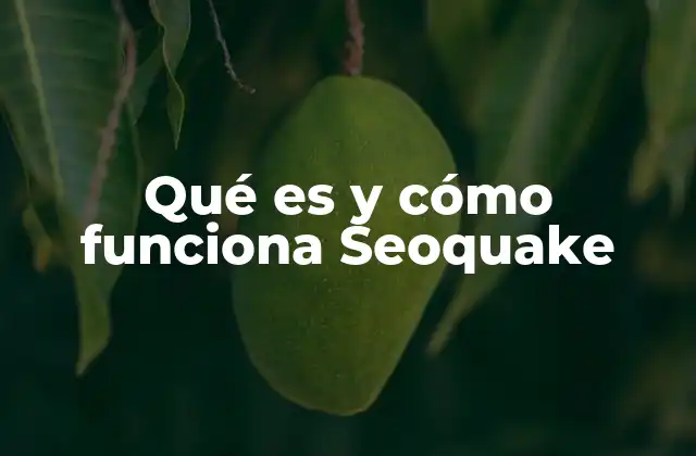 Qué es y Cómo Funciona Seoquake