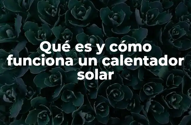 Qué es y Cómo Funciona un Calentador Solar