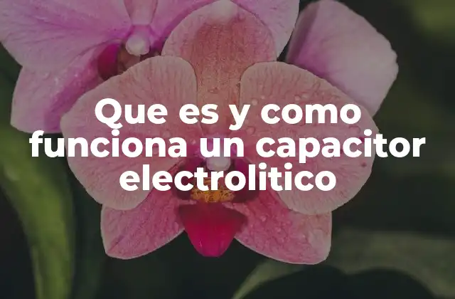 Que es y como Funciona un Capacitor Electrolitico 2 Cómo se diferencia de otros tipos de capacitores