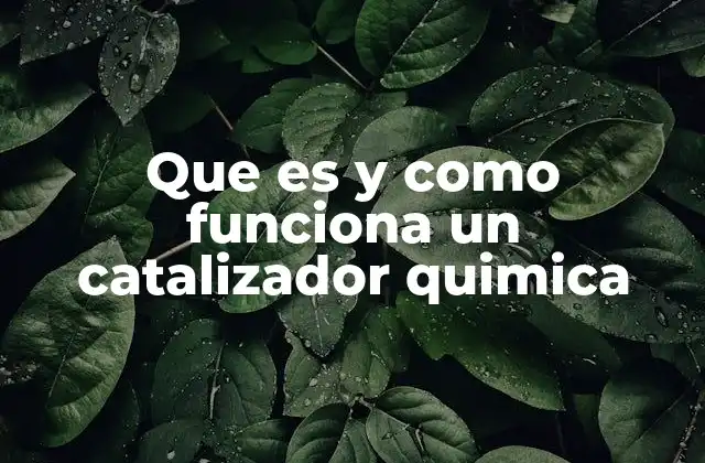 Que es y como Funciona un Catalizador Quimica