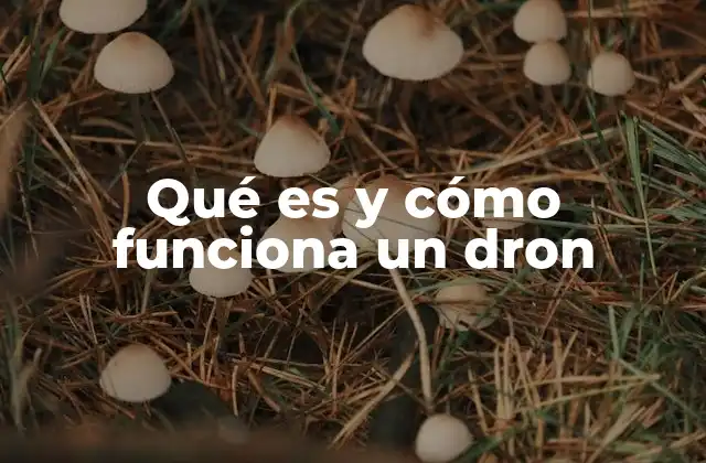 Qué es y Cómo Funciona un Dron