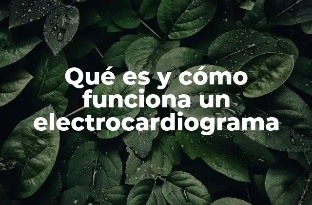 Qué es y Cómo Funciona un Electrocardiograma