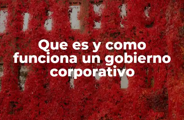 Que es y como Funciona un Gobierno Corporativo