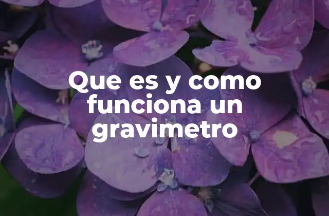 Que es y como Funciona un Gravimetro