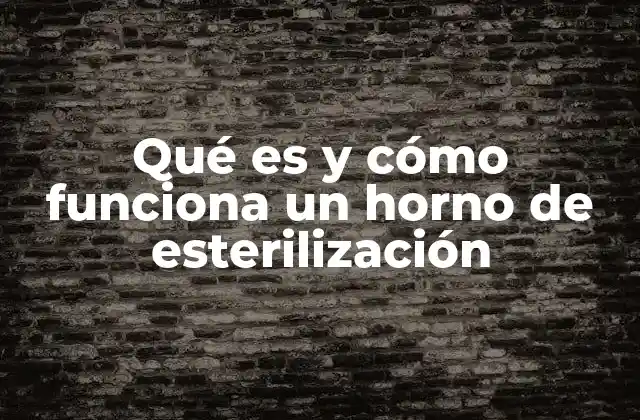 Qué es y Cómo Funciona un Horno de Esterilización