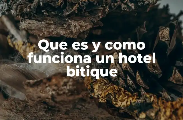 Que es y como Funciona un Hotel Bitique 2 La diferencia entre un hotel bitique y un hotel convencional