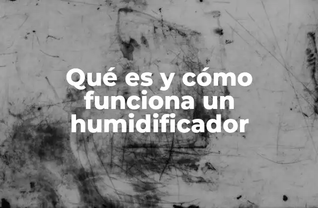 Qué es y Cómo Funciona un Humidificador