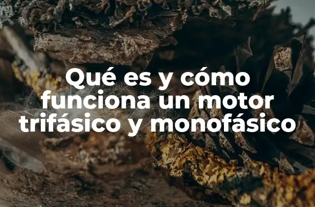 Qué es y Cómo Funciona un Motor Trifásico y Monofásico