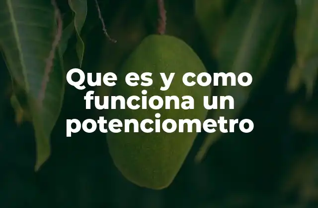 Características y funcionamiento interno del potenciómetro