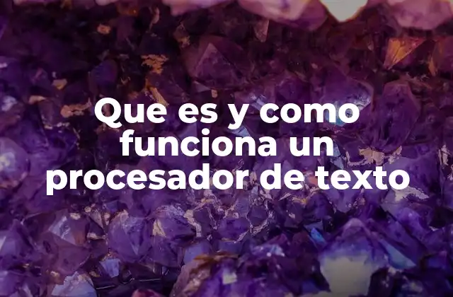 Que es y como Funciona un Procesador de Texto
