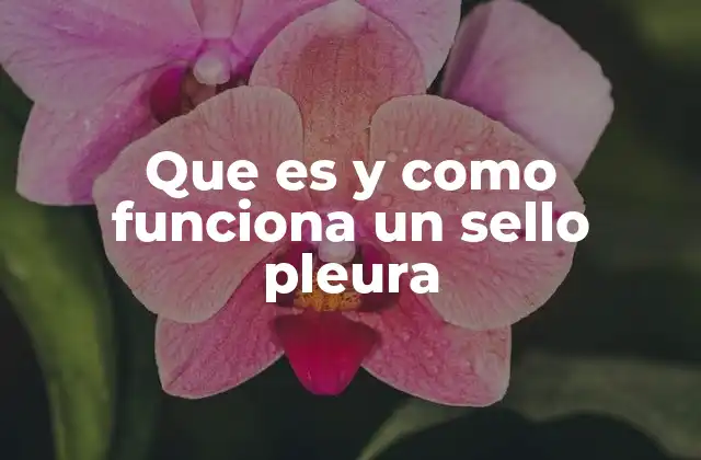 Que es y como Funciona un Sello Pleura